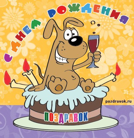 Картинка с днем рождения с приколами! Прикольная картинка на день рождения! Скачать бесплатно прикольную картинку онлайн для вацап! Картинка с днем рождения с приколами! Прикольная картинка на день рождения! Скачать бесплатно прикольную картинку онлайн для вацап!