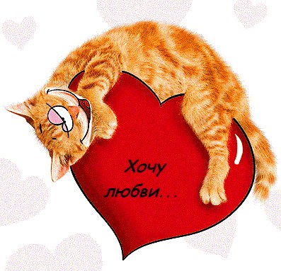 Открытка, анимация, картинка, 14 февраля, День всех влюбленных, День святого Валентина, валентинка, сердечко, кот. Открытки Открытка, анимация, картинка, 14 февраля, День всех влюбленных, День святого Валентина, валентинка, сердечко, кот, признание скачать бесплатно онлайн Открытка, анимация, картинка, 14 февраля, День всех влюбленных, День святого Валентина, валентинка, сердечко, кот. Открытки Открытка, анимация, картинка, 14 февраля, День всех влюбленных, День святого Валентина, валентинка, сердечко, кот, признание скачать бесплатно онлайн