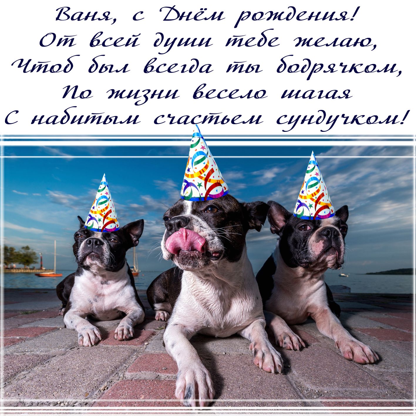 Хочу поздравить первой. Поздравление собаке. Смешные открытки с днем рождения. С днём рождения ЯКИРИЛЛ.