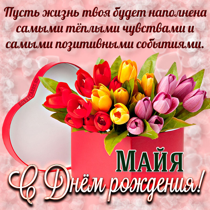 Картинка на День рождения Майе с коробкой тюльпанов