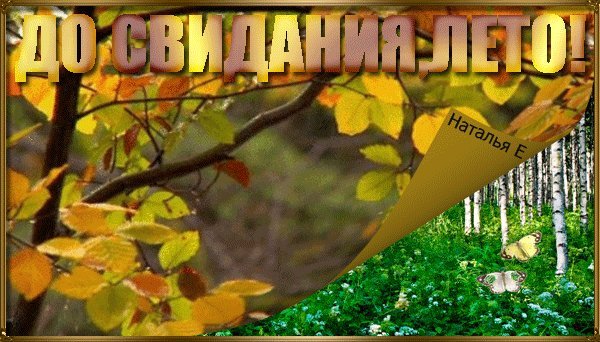 До свидания лето до свидания картинки красивые