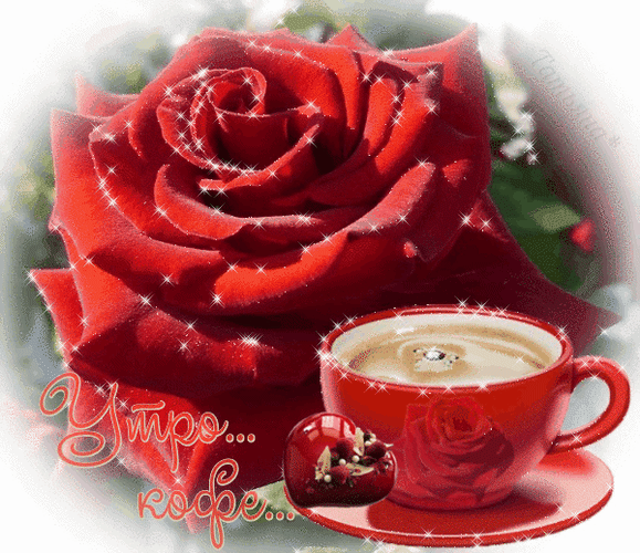 С добрым любимая открытки мерцающие. Доброе утро розы. Открытки с добрым утром с розами. С добрым утром гифки красивые. Розы с добрым утром мерцающие.