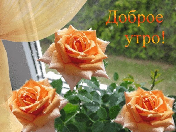 Доброе утро аллочка картинки