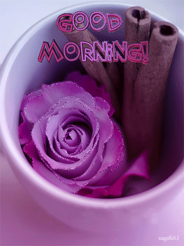 Доброе утро розы надписи. С добрым утром фиолетовые розы. Доброе утро розы. Доброе утро сиреневый цвет с надписью. Доброе утро фиолетовые цветы.