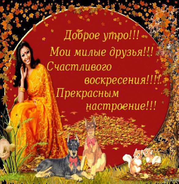 Анимированная открытка Доброе утро! Мои милые друзья! Счастливого воскресения! Прекрасным настроение! Анимированная открытка Доброе утро! Мои милые друзья! Счастливого воскресения! Прекрасным настроение!