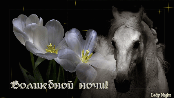 Красивые гифки доброй весенней ночи. Спокойной ночи лошади. Спокойной ночи лошадка. Спокойной ночи цветы. Доброй ночи с лошадьми.
