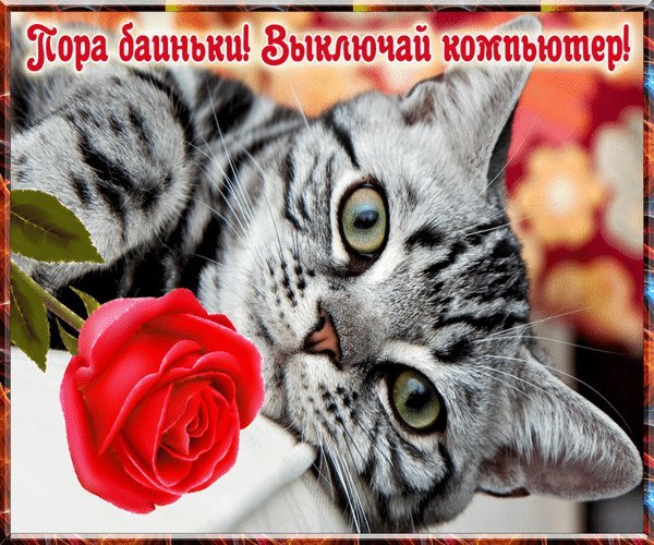 Выключай компьютер и спать картинки прикольные