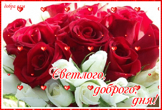 Видео день леночек. Красивый букет роз для Елены. Цветочки для Леночки. Цветы для Леночки красивые. Красивые розы букет для Леночки.