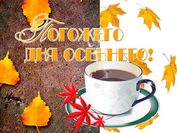 С добрым утром ноябрь. Доброго осеннего дня. Доброго осеннего дня и хорошего. Доброе утро ноябрь. Доброго осеннего утра и дня.