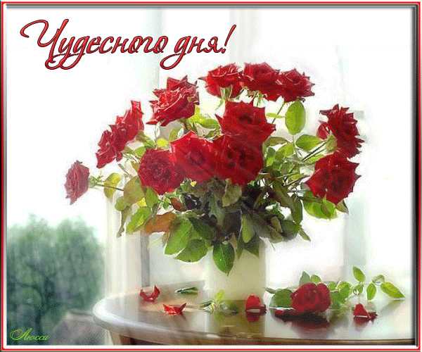 Доброго дня и прекрасного настроения цветы. Открытки чудесного дня. Доброго прекрасного дня. Прекрасного дня цветы. Добрый день цветы.
