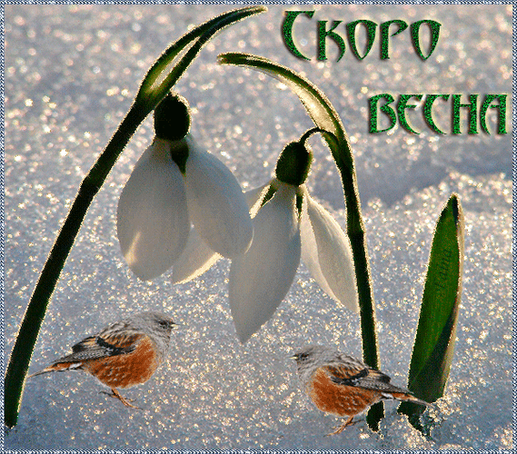 Пожелание доброго весеннего утра православным