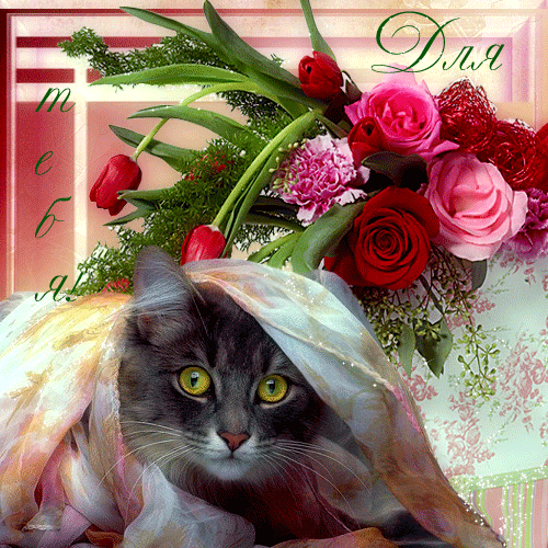 Кот с цветами открытка. Красивые открытки с котиками. Доброе утро и цветы и котёнок. Кошка в цветах.
