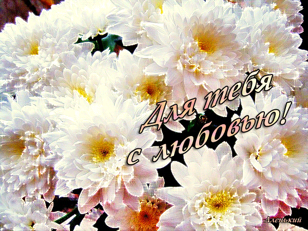 Доброе утро с хризантемами картинки красивые и надписями