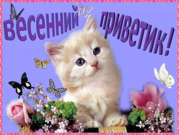 Приветули картинки красивые