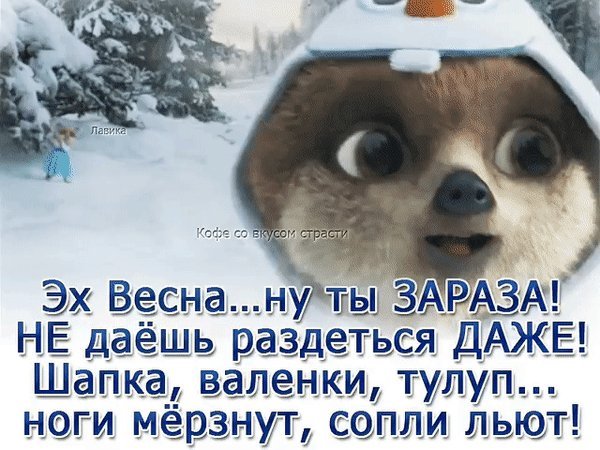 Где же ты весна картинки