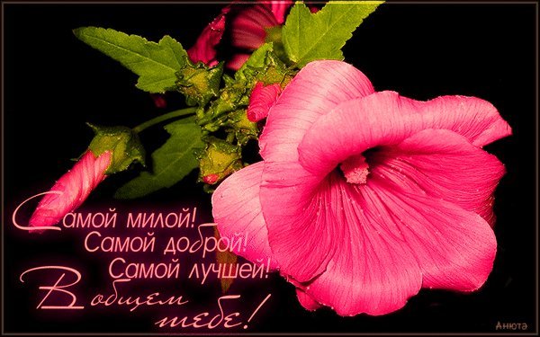 Для самой лучшей девушки на свете картинки нежной и красивой