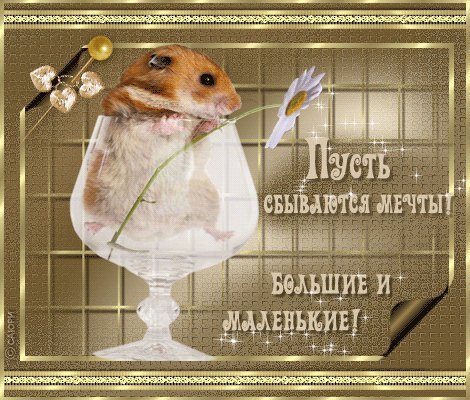 Пусть все твои планы сбудутся