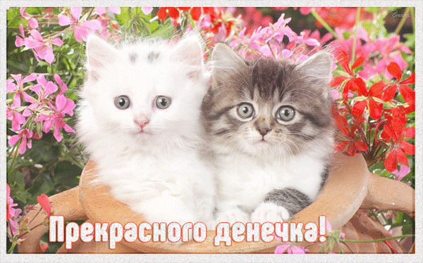 Анимированная открытка Прекрасного денечка!