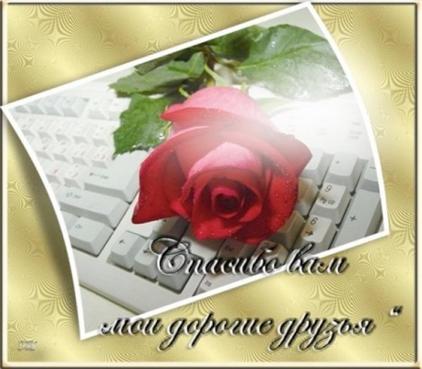 Открытка Спасибо вам мои дорогие друзья