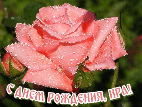 Именные открытки с Днем рождения Ирине, Ире. Душевное поздравление на мобильный с Днем рождения скачать. Именные открытки с Днем рождения Ирине, Ире. Душевное поздравление на мобильный с Днем рождения скачать.