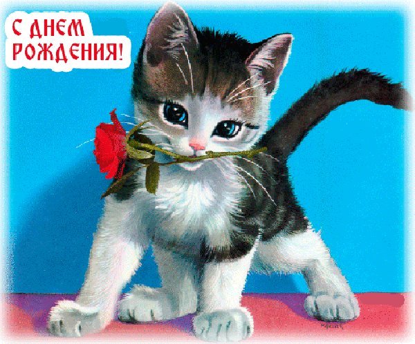 Красивые анимацинные открытки и картинки. Поздравить с Днем рождения девочку. Прикольнейшая открытка с Днем рождения скачать на мобильный. Красивые анимацинные открытки и картинки. Поздравить с Днем рождения девочку. Прикольнейшая открытка с Днем рождения скачать на мобильный.