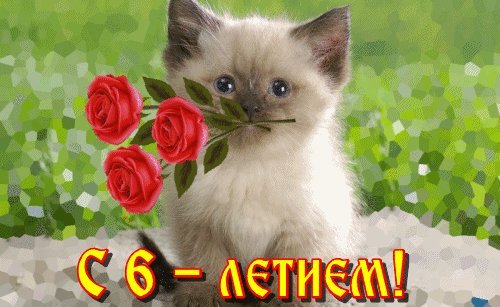 Красивые открытки и картинки. Поздравить с Днем рождения девочку 6 лет. Веселое поздравление с днем рождения. Красивые открытки и картинки. Поздравить с Днем рождения девочку 6 лет. Веселое поздравление с днем рождения.