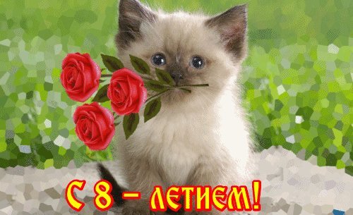 Красивые открытки и картинки. Поздравить с Днем рождения девочку 8 лет. Душевное поздравление на смартфон с Днем рождения. Красивые открытки и картинки. Поздравить с Днем рождения девочку 8 лет. Душевное поздравление на смартфон с Днем рождения.