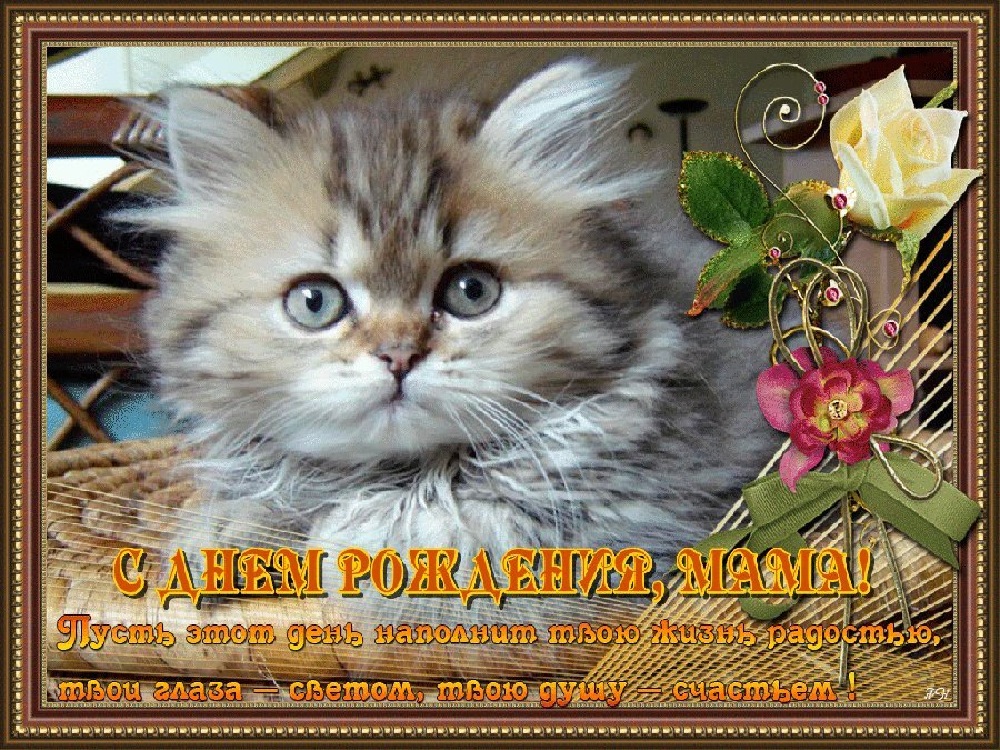 Красивые открытки и картинки. Поздравить с Днем рождения маму от дочки. Лучшая картинка с Днем рождения скачать на мобильный. Красивые открытки и картинки. Поздравить с Днем рождения маму от дочки. Лучшая картинка с Днем рождения скачать на мобильный.