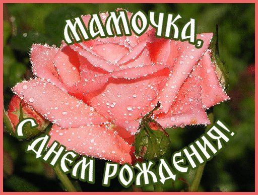 Красивые открытки и картинки. Поздравить с Днем рождения маму от дочки. Трогательное поздравление с Днем рождения. Красивые открытки и картинки. Поздравить с Днем рождения маму от дочки. Трогательное поздравление с Днем рождения.