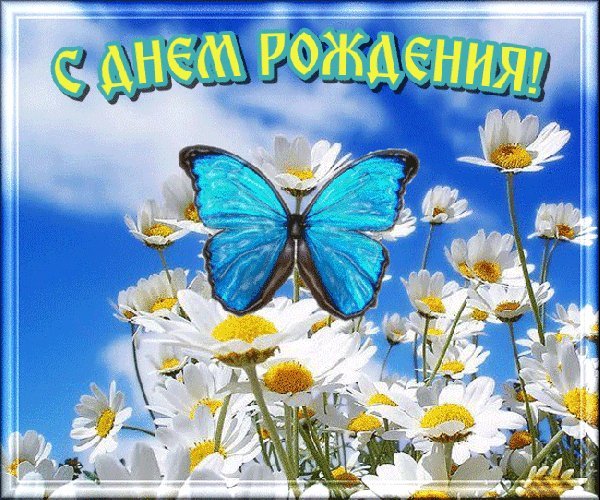 Красивые открытки и картинки с ромашками, цветами. Поздравить с Днем рождения. С днем рождения поздравление скачать. Красивые открытки и картинки с ромашками, цветами. Поздравить с Днем рождения. С днем рождения поздравление скачать.