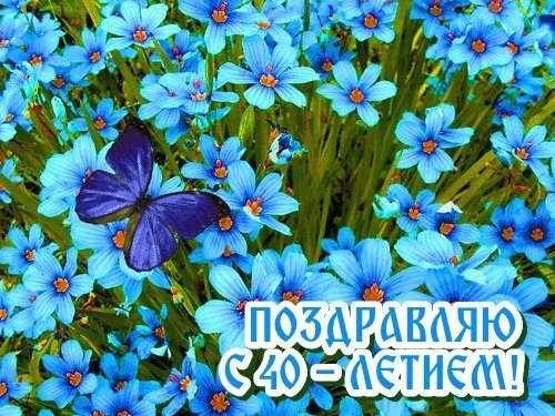 Красивые открытки и картинки. Поздравить с Юбилеем 40 лет женщину. Бесплатно поздравление с днем рождения на смартфон. Красивые открытки и картинки. Поздравить с Юбилеем 40 лет женщину. Бесплатно поздравление с днем рождения на смартфон.
