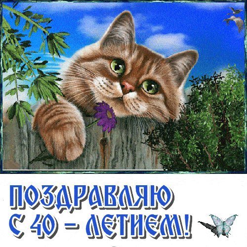 Красивые открытки и картинки. Поздравить с Юбилеем 40 лет женщину. Прикольное поздравление с Днем рождения скачать. Красивые открытки и картинки. Поздравить с Юбилеем 40 лет женщину. Прикольное поздравление с Днем рождения скачать.