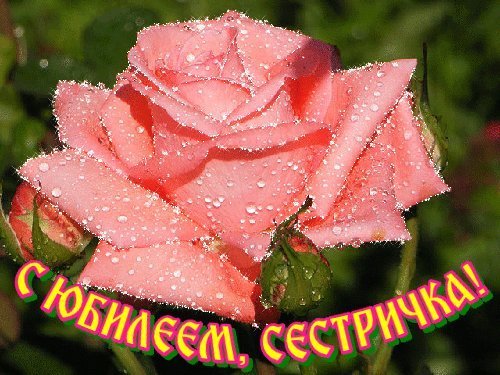 Красивые открытки и картинки. Поздравить с Юбилеем сестру. поздравление с днем рождения скачать на смартфон. Красивые открытки и картинки. Поздравить с Юбилеем сестру. поздравление с днем рождения скачать на смартфон.