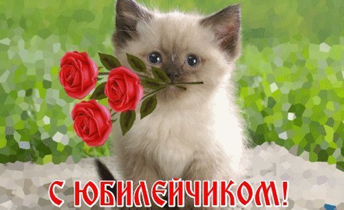 Красивые открытки и картинки. Поздравить с Юбилеем женщину. поздравление на телефон с Днем рождения скачать. Красивые открытки и картинки. Поздравить с Юбилеем женщину. поздравление на телефон с Днем рождения скачать.