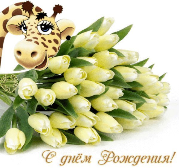 Красивые открытки и картинки с тюльпанами, цветами. Поздравить с Днем рождения. На Днем рождения скачать на мобильный. Красивые открытки и картинки с тюльпанами, цветами. Поздравить с Днем рождения. На Днем рождения скачать на мобильный.