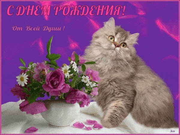 Мерцающие открытки и картинки. Поздравить с Днем рождения женщину. Отправить на телефон с Днем рождения скачать. Мерцающие открытки и картинки. Поздравить с Днем рождения женщину. Отправить на телефон с Днем рождения скачать.