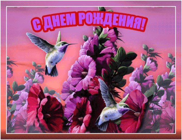 Мерцающие открытки и картинки. Поздравить с Днем рождения женщину. Своими словами поздравление с Днем рождения скачать. Мерцающие открытки и картинки. Поздравить с Днем рождения женщину. Своими словами поздравление с Днем рождения скачать.
