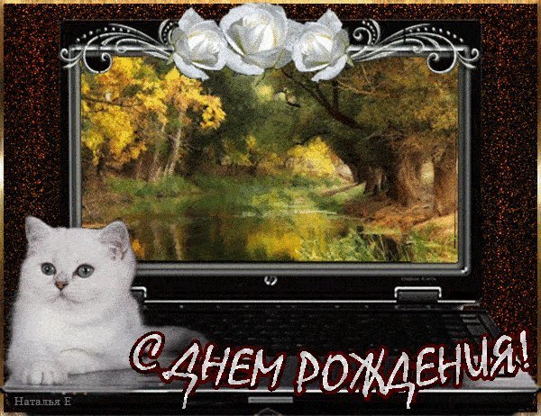 Мерцающие открытки и картинки. Поздравить с Днем рождения женщину. Открытка с приколом с Днем рождения скачать на телефон. Мерцающие открытки и картинки. Поздравить с Днем рождения женщину. Открытка с приколом с Днем рождения скачать на телефон.