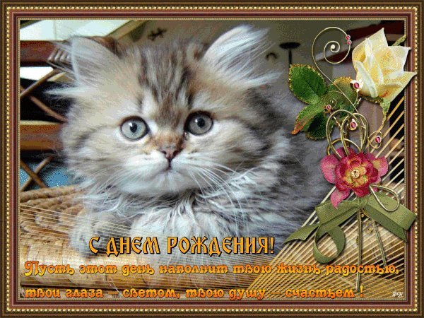Мерцающие открытки и картинки. Поздравить с Днем рождения женщину. Душевное поздравление на мобильный с Днем рождения скачать на телефон. Мерцающие открытки и картинки. Поздравить с Днем рождения женщину. Душевное поздравление на мобильный с Днем рождения скачать на телефон.
