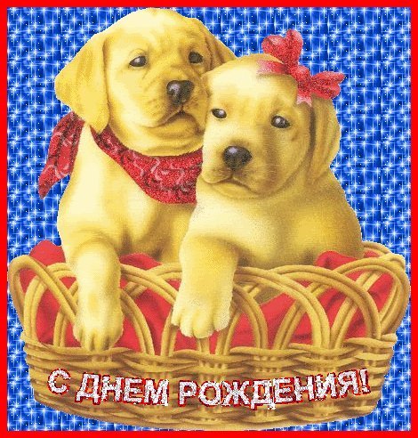 Мерцающие открытки и картинки. Поздравить с Днем рождения женщину. Бесплатное поздравление с днем рождения. Мерцающие открытки и картинки. Поздравить с Днем рождения женщину. Бесплатное поздравление с днем рождения.