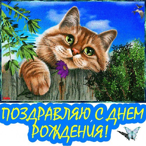 Мерцающие открытки и картинки. Поздравить с Днем рождения женщину. Красивая картинка с Днем рождения скачать на мобильный. Мерцающие открытки и картинки. Поздравить с Днем рождения женщину. Красивая картинка с Днем рождения скачать на мобильный.