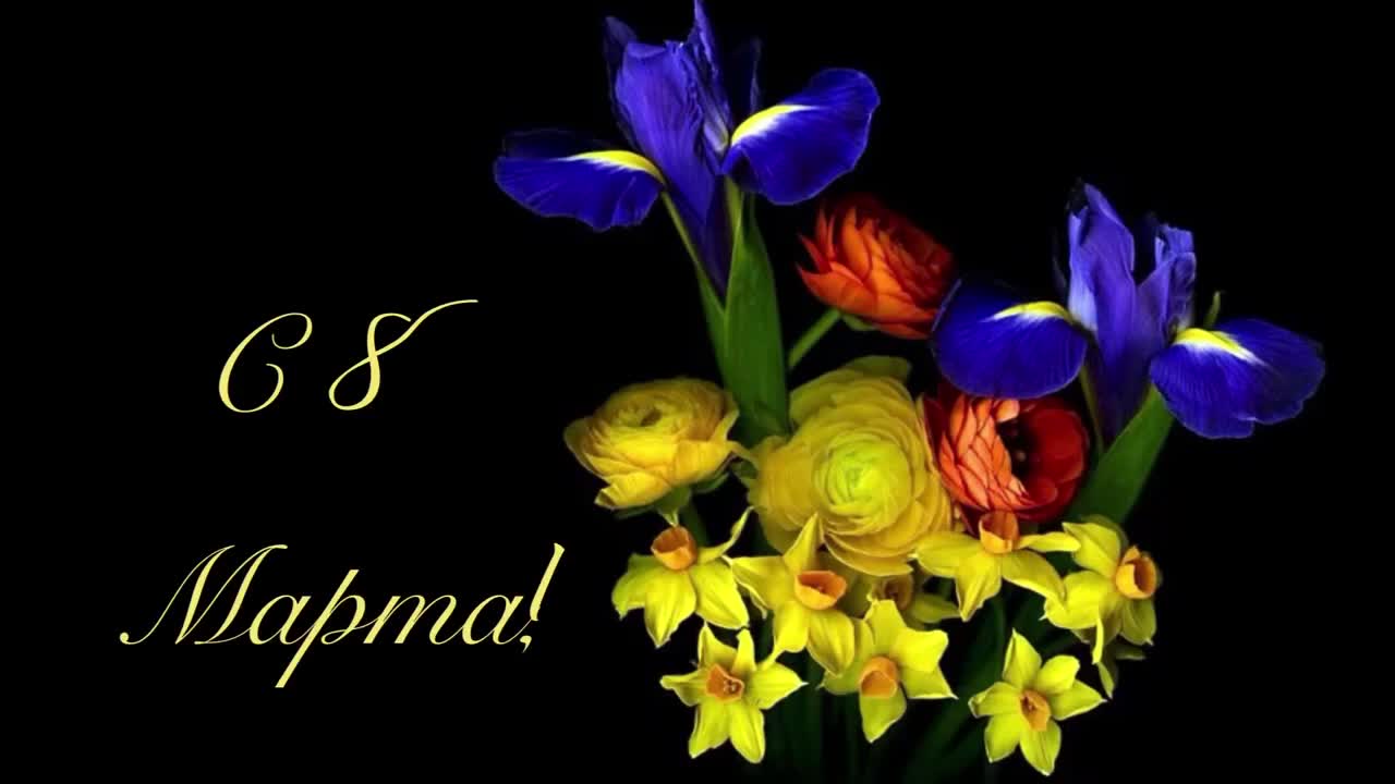 С 8 марта ! Роскошное поздравление, лучшие пожелания, шикарные цветы. [Международный женский день 8 марта]