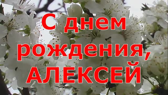 С днем рождения, АЛЕКСЕЙ. Очень яркое мызыкальное поздравление с пожеланиями. [Поздравления Алексею с днем рождения]