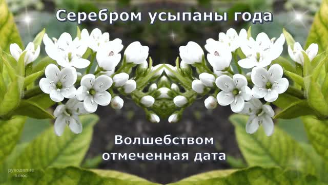 Поздравление с серебряной свадьбой. 25 лет совместной жизни. [Годовщина свадьбы Юбилей бракосочетания по годам названия музыкальные поздравления]