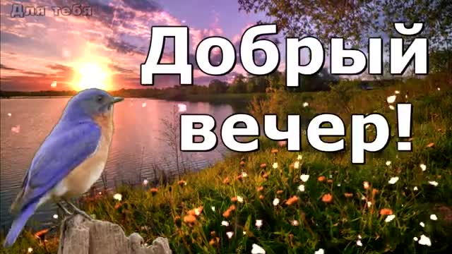 С добрым вечером! Пожелание доброго вечера! Музыкальная открытка! Добрый вечер!. [Добрый вечер музыкальные поздравления]