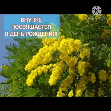 С днем рождения внучка. Анимация с открытками и цветами. [Внучка музыкальные поздравления с днем рождения]