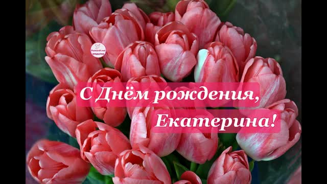 С Днем Рождения, Екатерина! Поздравление для Кати с Днем Рождения. [Екатерина, с днем рождения. Видеооткрытка]