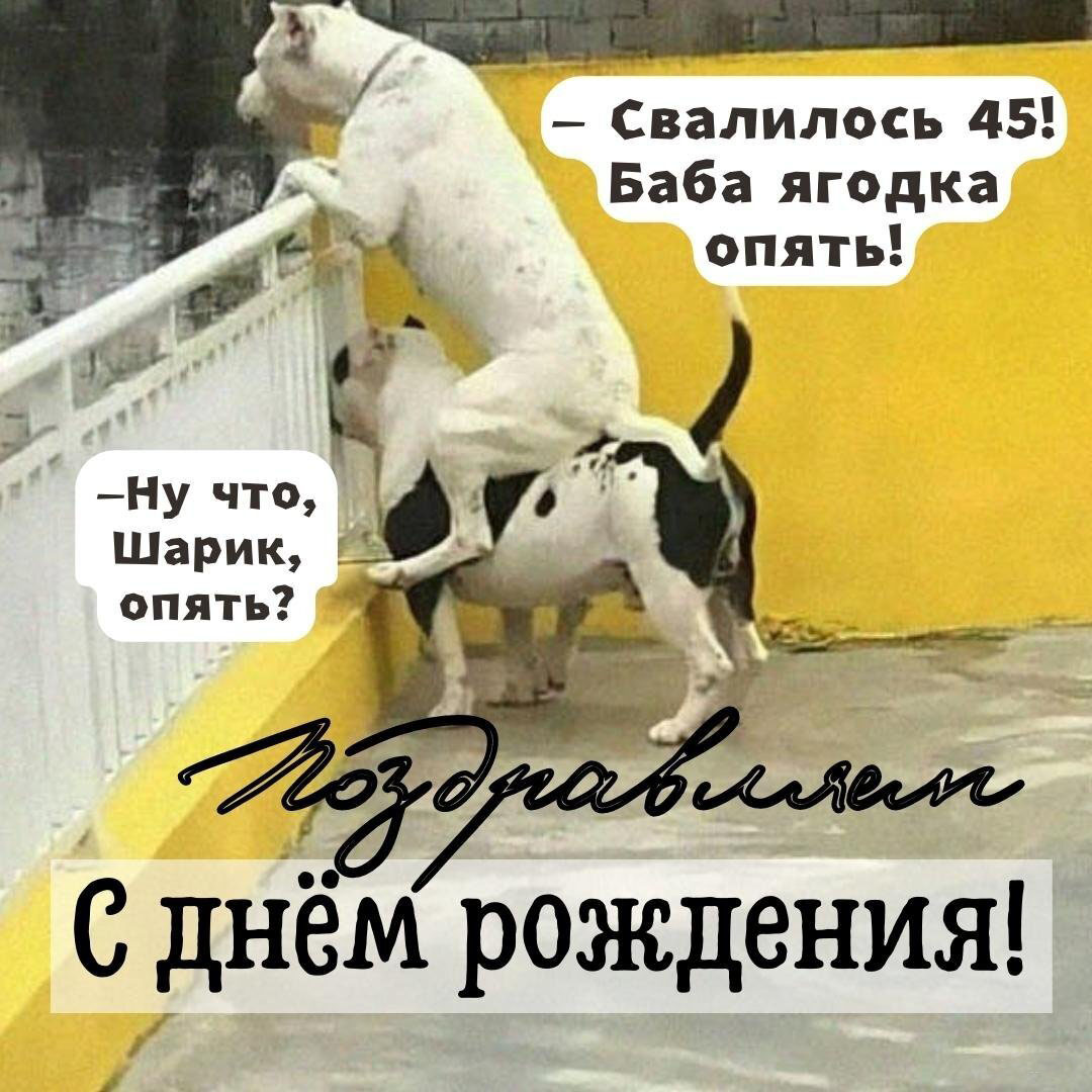 Картинка на 45 баба ягодка опять