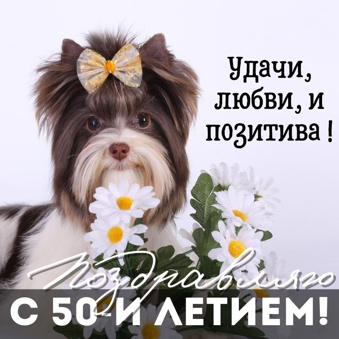 Красивая поздравительная открытка с 50 летием женщине