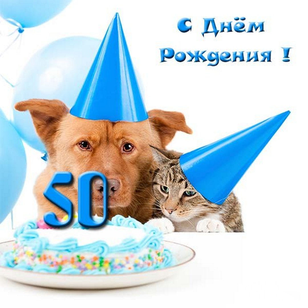 Прикольная открытка на 50 лет